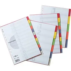 PAGNA Kartonregister mit Deckblatt, zur freien Verwendung, 12 Blätter, 6-farbig