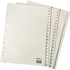 Papier-Register A4, einzeln, DIN A4 1-20, hellchamois