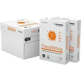 Steinbeis TrendWhite DIN A4 Druckerpapier  Recycelt 100% 80 g/m² Glatt Weiß 500 Blatt