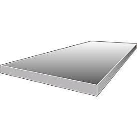 Stahlpaneel WR 600, T 800 x L 1500 mm