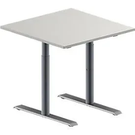 Schäfer Shop Genius Konferenztisch MODENA FLEX, Quadrat, T-Fuss Rundrohr, B 800 x T 800 x H 650-850 mm, lichtgrau/weissaluminium RAL 9006