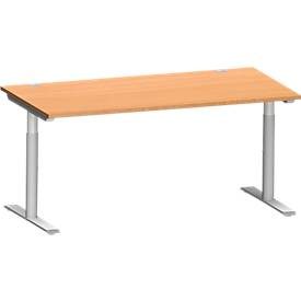 Schäfer Shop Genius Schreibtisch MODENA FLEX, 1600 x 800 mm, Buche