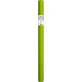 Seidenpapier Clairefontaine, 500 x 750 mm, wasserfest, gefalzt, 24 Bögen, apfelgrün