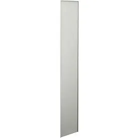 Seitenblende, für Stahlschrank PROGRESS 2000, H 2250 x T 500 mm