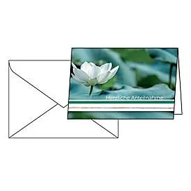 Trauerkarte Sigel ?Water Lily?, Format B6, 115 x 170 mm, mit weissen & gummierten Umschlägen, grün, FSC®-Glanzkarton, 10 Stück