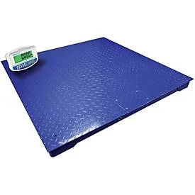 Wägebrücke ae ADAM PT 110, mit GK-Plus Anzeigegerät, Ablesbarkeit 200 g/Wägebereich bis 1000 kg, RS-232, Netz-/Akkubetrieb, Plattform B 1000 x T 1000 mm