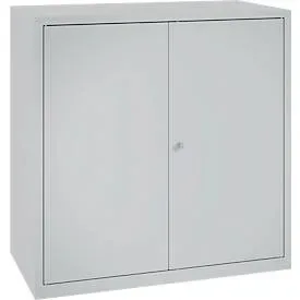 Werkzeugschrank, Sicherheitsschloss, 2 Einlegeböden & 1 Schublade, B 1000 x T 500 x H 1000 mm, Stahlblech, weissalu/weissalu