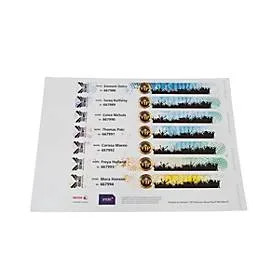 Xerox Premium NeverTear Wristbands, 120 µm, weiss, wasserfest, perforiert, A4-Format, 100 Blatt, 8 Stk./Blatt
