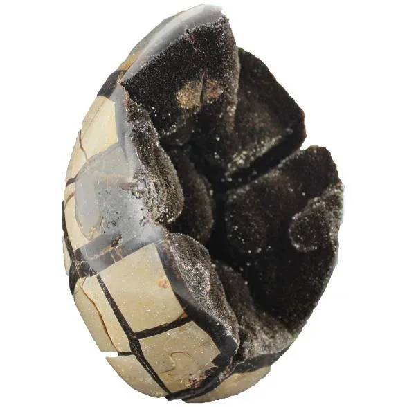 Septarienei Freeform, ca. 10-12 cm