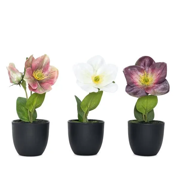Christrosen 3er Set 19cm