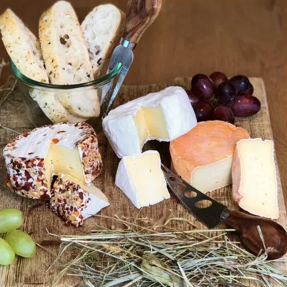 Edel Brotzeit Trio