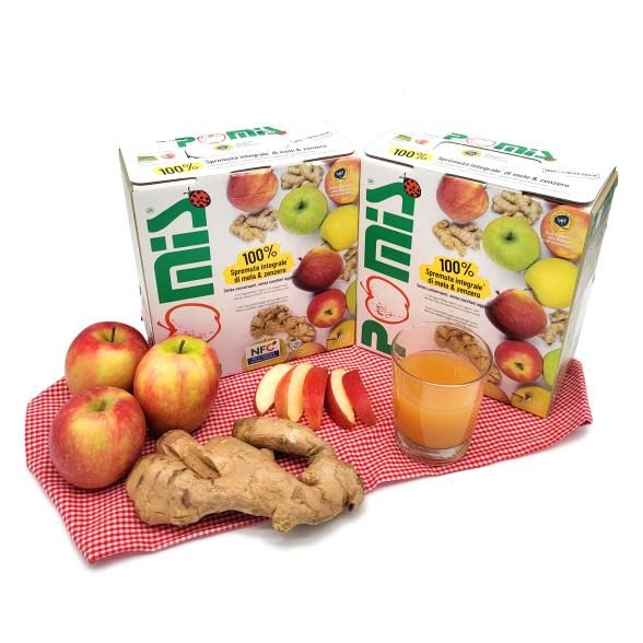 Apfel-Ingwer-Saft