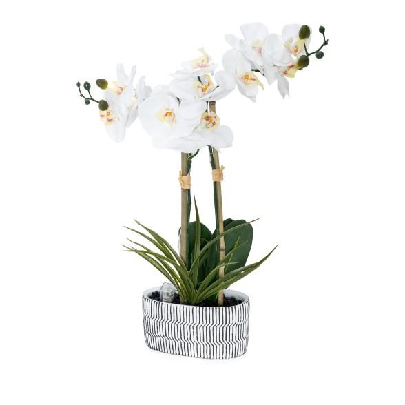 Orchidee mit LED-Beleuchtung weiß