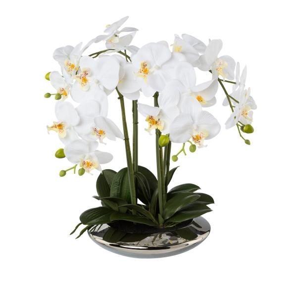 Orchidee weiß in Silberschale