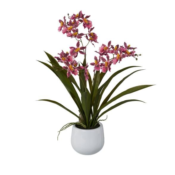 Orchidee dunkelrosa 50cm