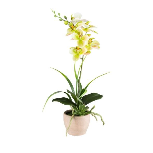 Orchidee grün 45cm