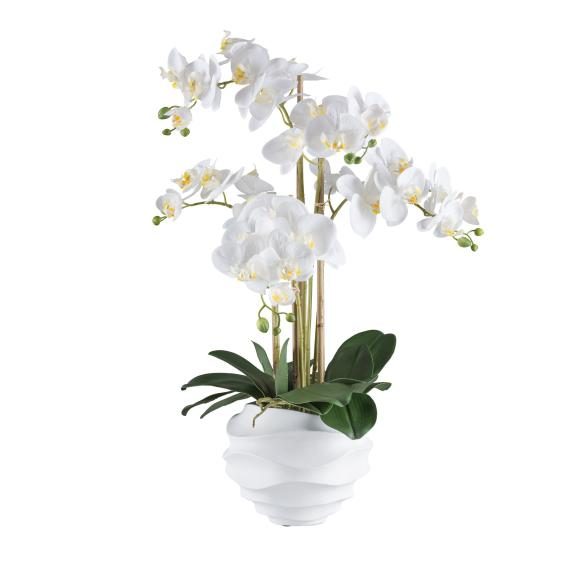 XXL-Orchidee weiß 70cm
