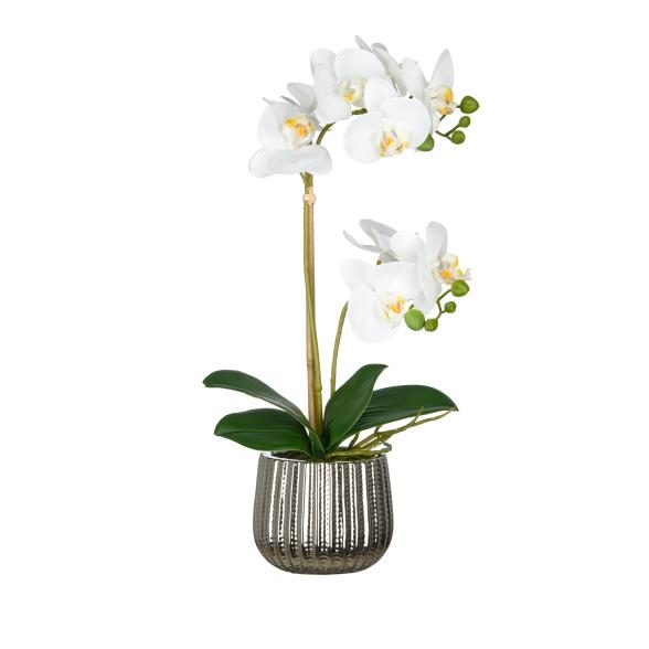 Orchidee weiß in Silbertopf