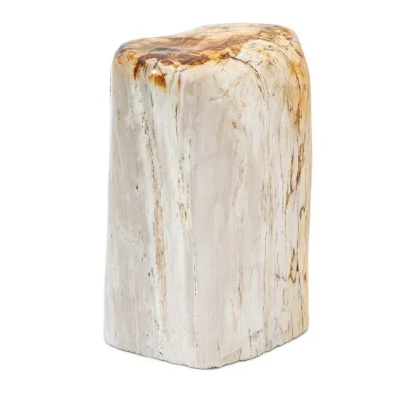 Freeform fossiles Holz