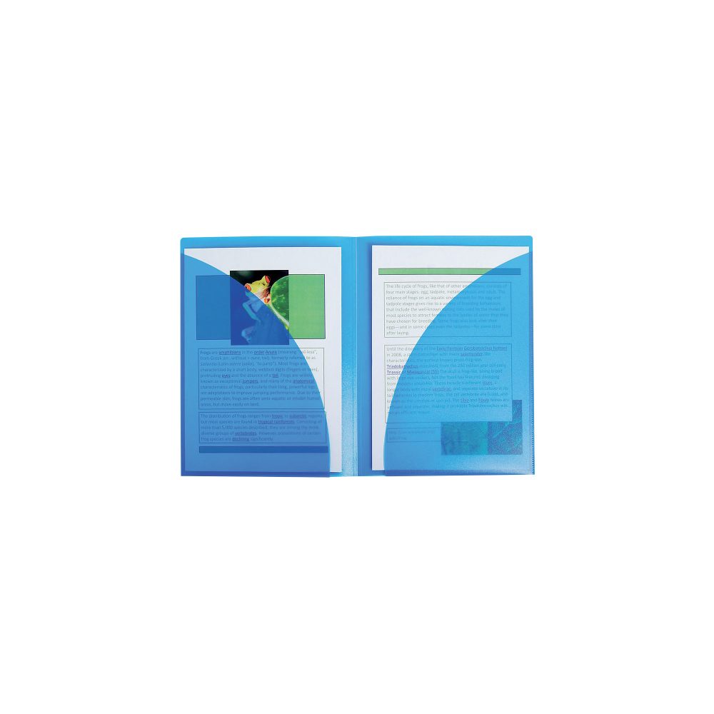 Exacompta Präsentationsmappe Twin File DIN A4 Blau, Transparent Polypropylen