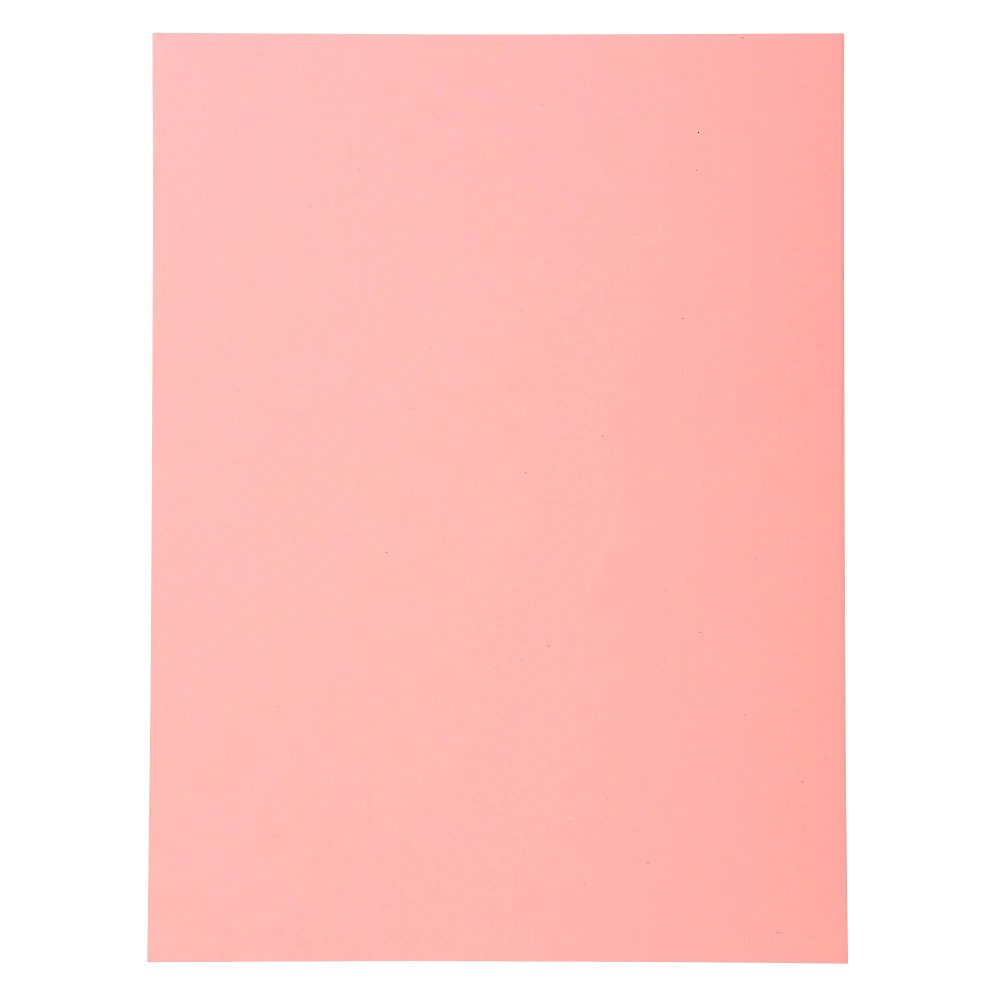 Exacompta Forever Ordnungsmappe DIN A4 Rosa Manila Recycelt 100% 170 g/m² 100 Stück