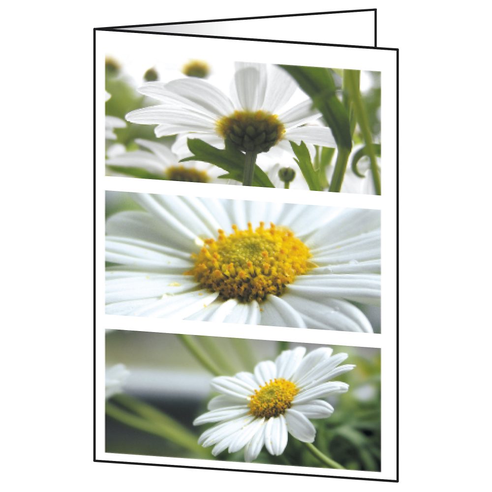 Sigel Grußkarten Blumen 220 g/m² Sortiert 25 Stück