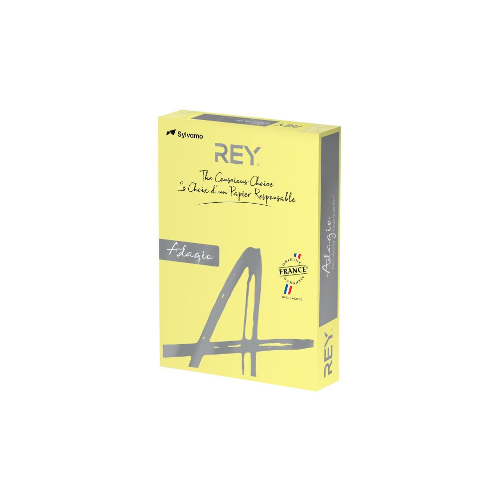 Rey Getöntes Papier DIN A4 Farbiges Papier Kanariengelb 120 g/m² 250 Blatt