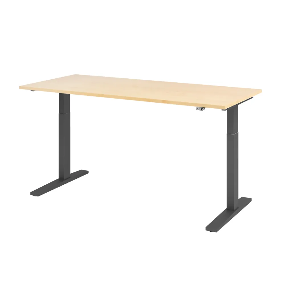 Hammerbacher Steh-Sitz-Schreibtisch VXMKA19/3/G Ahorn 1800 mm x 800 mm