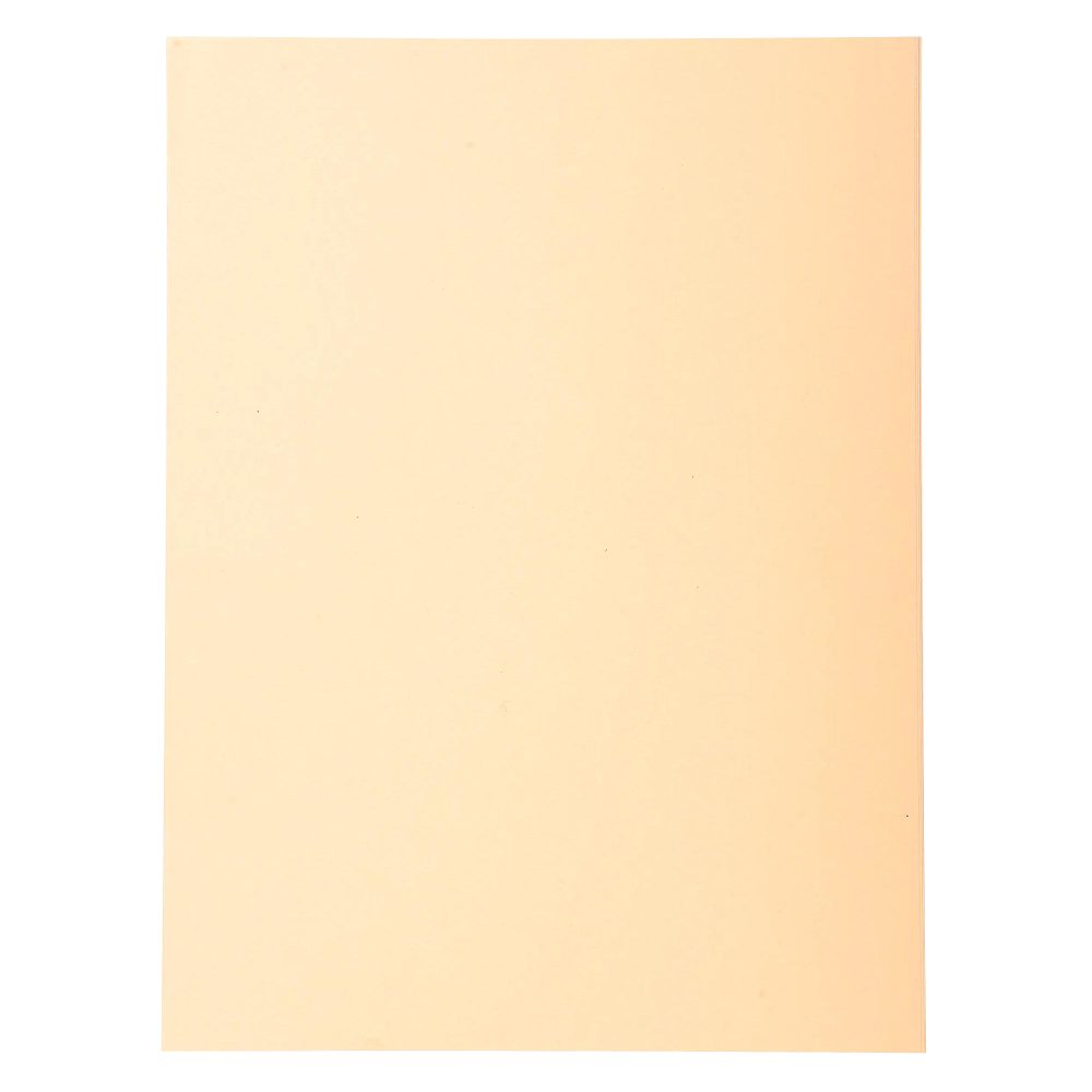 Exacompta Forever Ordnungsmappe DIN A4 Cremefarben Manila Recycelt 100% 170 g/m² 100 Stück
