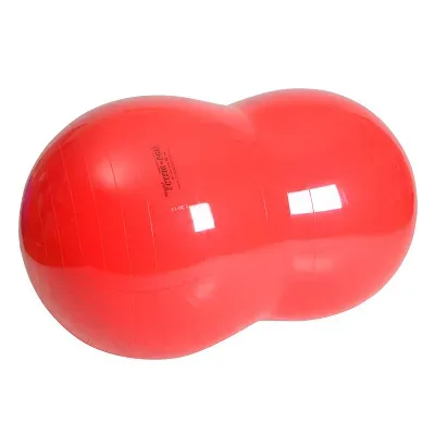 Gymnic Fitnessball 