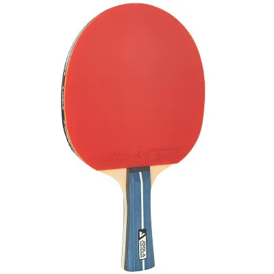 Joola Tischtennisschläger 