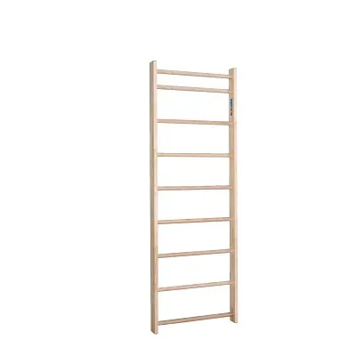 Sport-Thieme Sprossenwand 