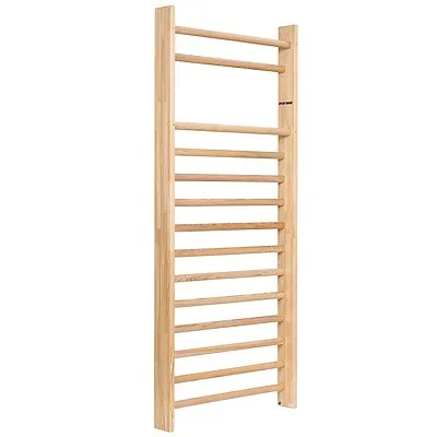 Sport-Thieme Sprossenwand 