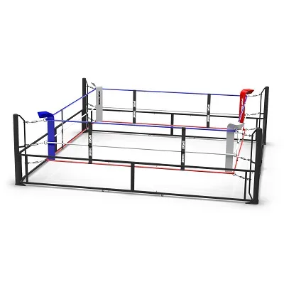 Sport-Thieme Boxring 