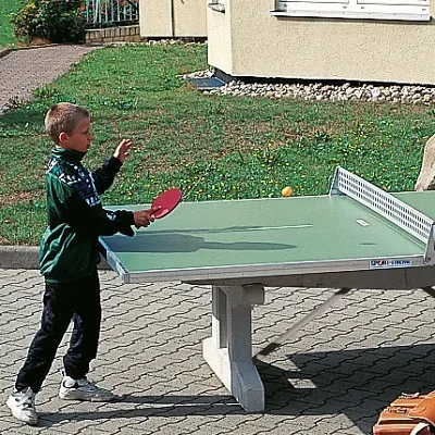 Sport-Thieme Tischtennis-Plattenhälfte 