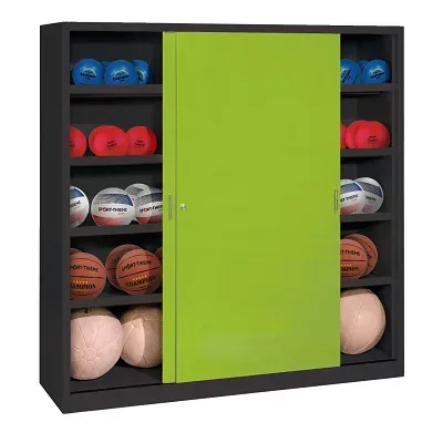 C+P Ballschrank mit Vollblech-Schiebetüren (Typ 4), HxBxT 195x120x50 cm, Clowngrün (RAL 110 80 60), Anthrazit (RAL 7021), Einzelschliessung