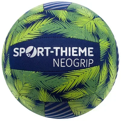 Sport-Thieme Volleyball 