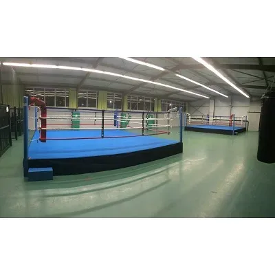 Sport-Thieme Boxring 
