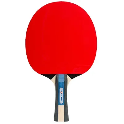 Sport-Thieme Tischtennisschläger 