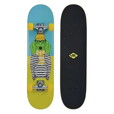 Schildkröt Skateboard 