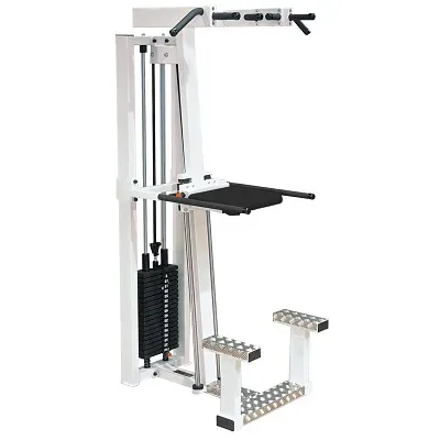 Sport-Thieme Klimmzug- und Dipstation 
