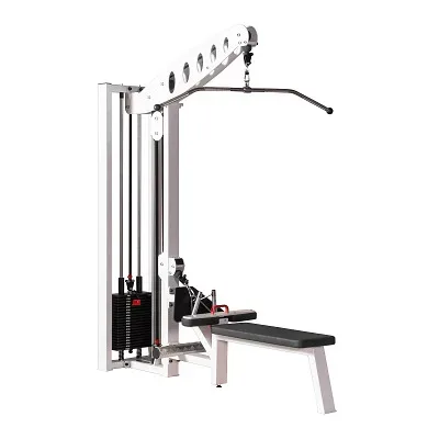 Sport-Thieme Latzug-/Latruder-Maschine 