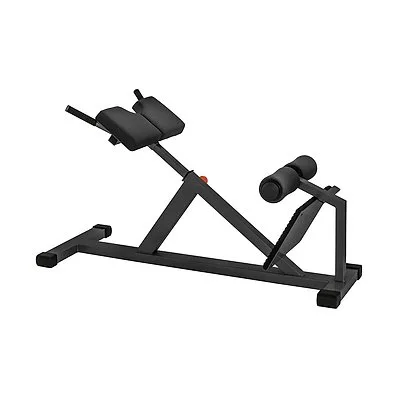 Sport-Thieme Rückenstrecker 