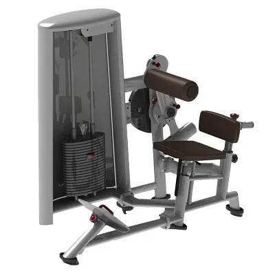 Sport-Thieme Bauch-/Rücken-Maschine 