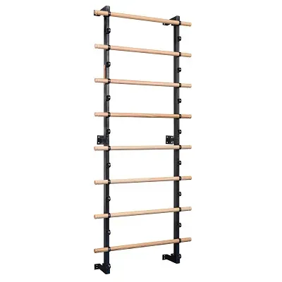 Sport-Thieme Sprossenwand 