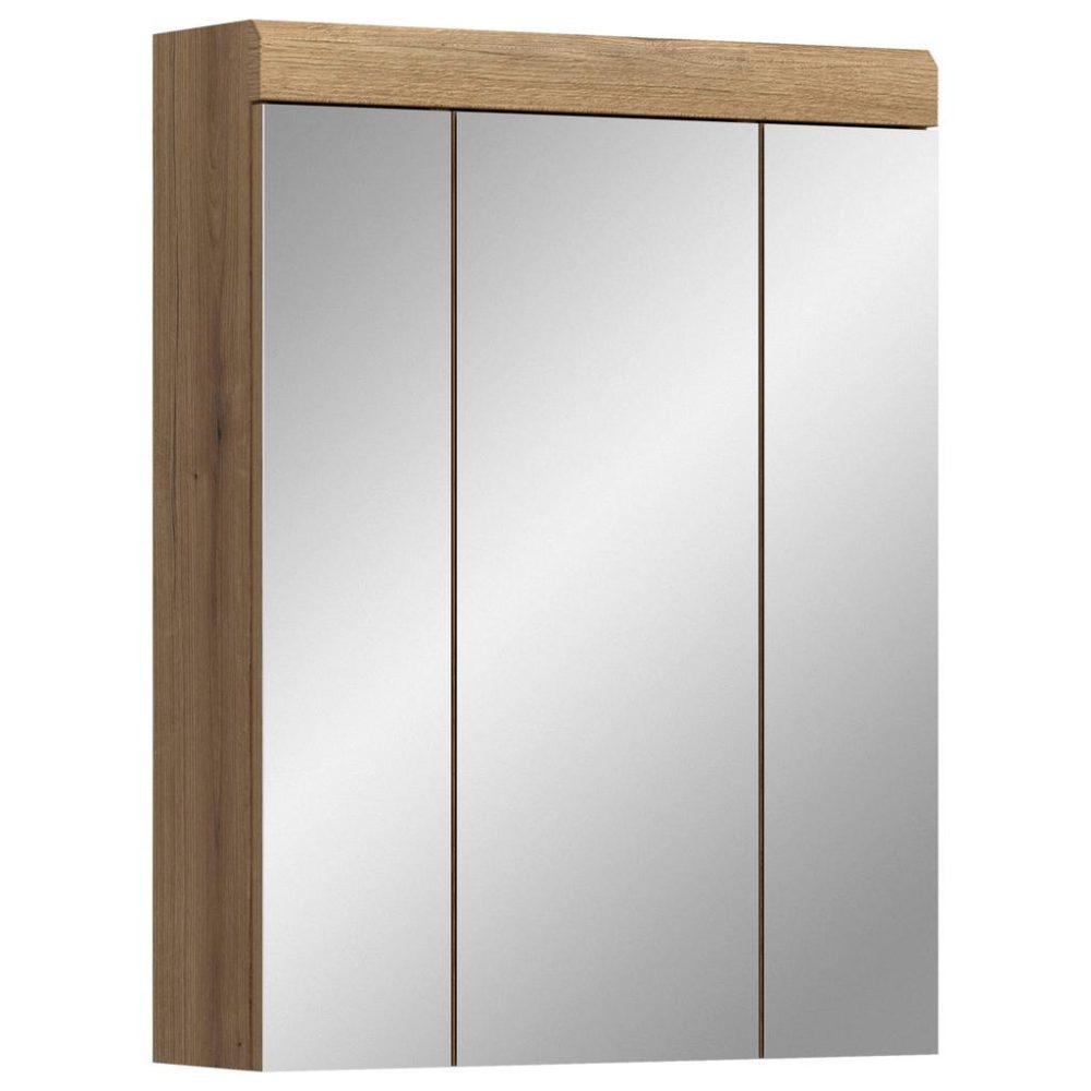 Spiegelschrank Scout 60/79/18 cm 