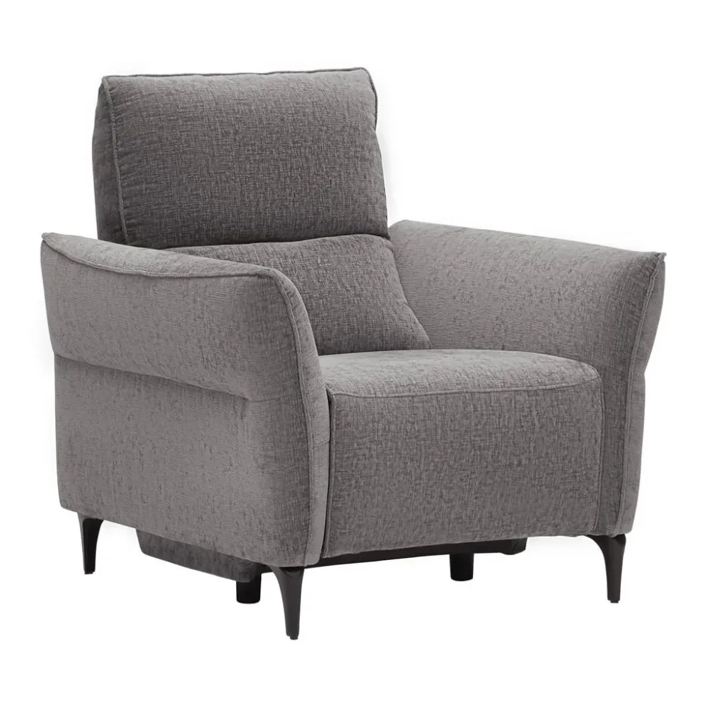 Relaxsessel Cape Town Dunkelgrau Holz, Metall, Textil Dunkelgrau 