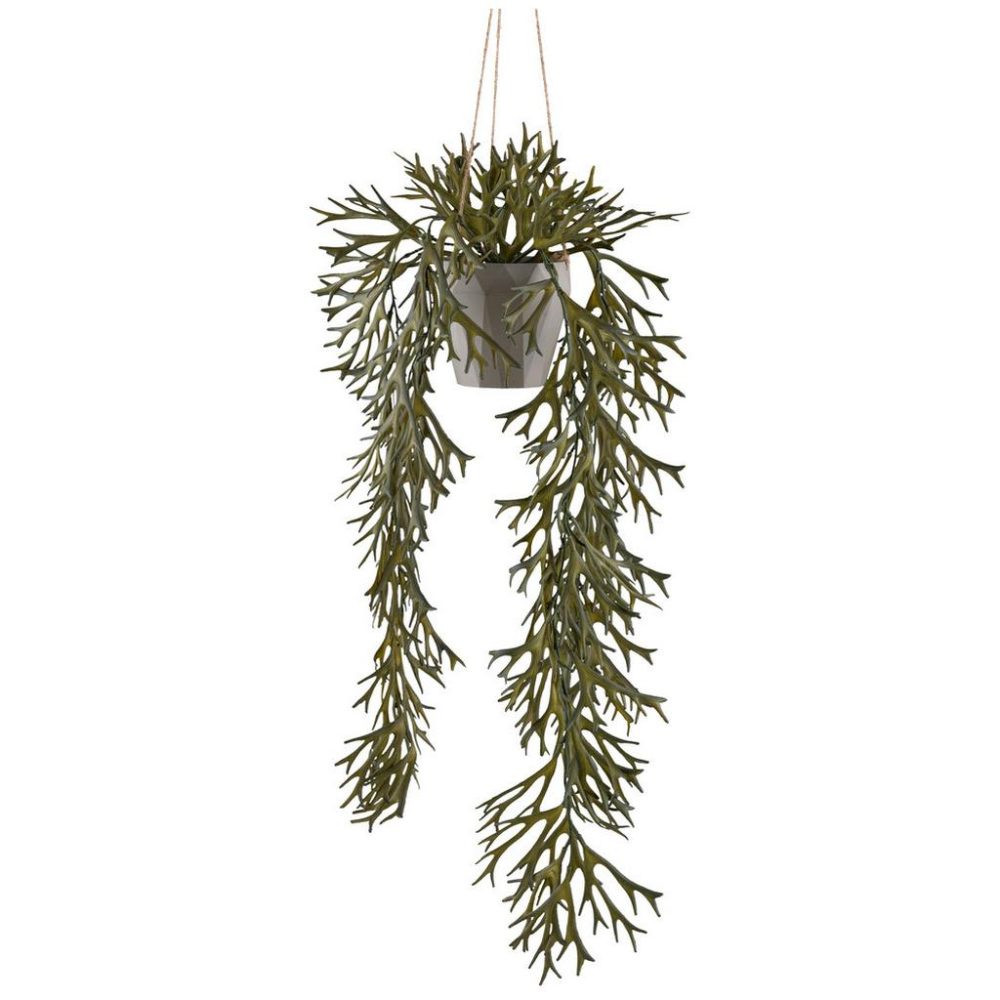 Kunstpflanze Geweihfarn Ii Olivgrün Farn 70 cm 