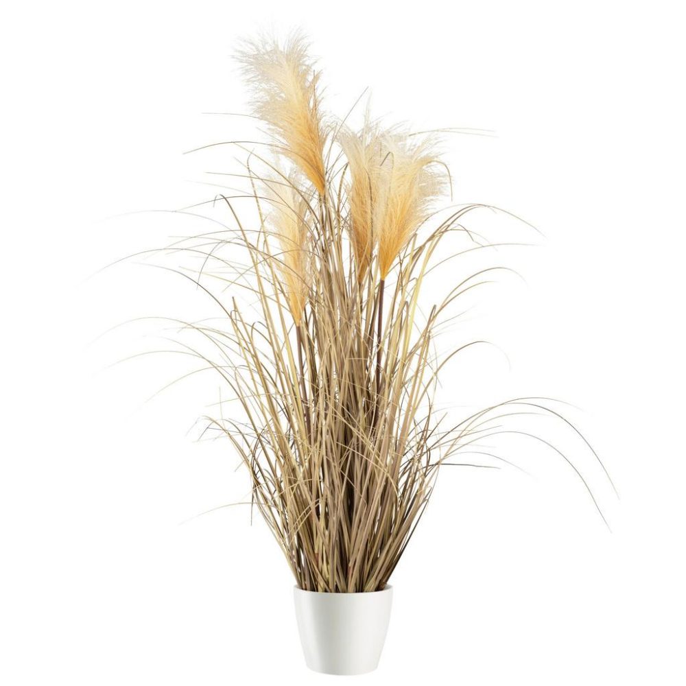 Kunstpflanze Pampasgras I In Naturfarben Pampasgras 92 cm 