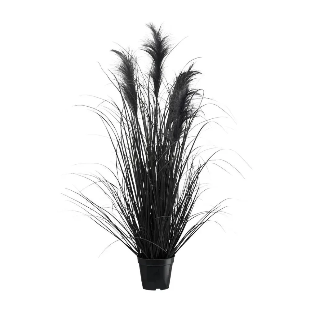 Kunstpflanze Pampasgras I In Schwarz Pampasgras 92 cm 